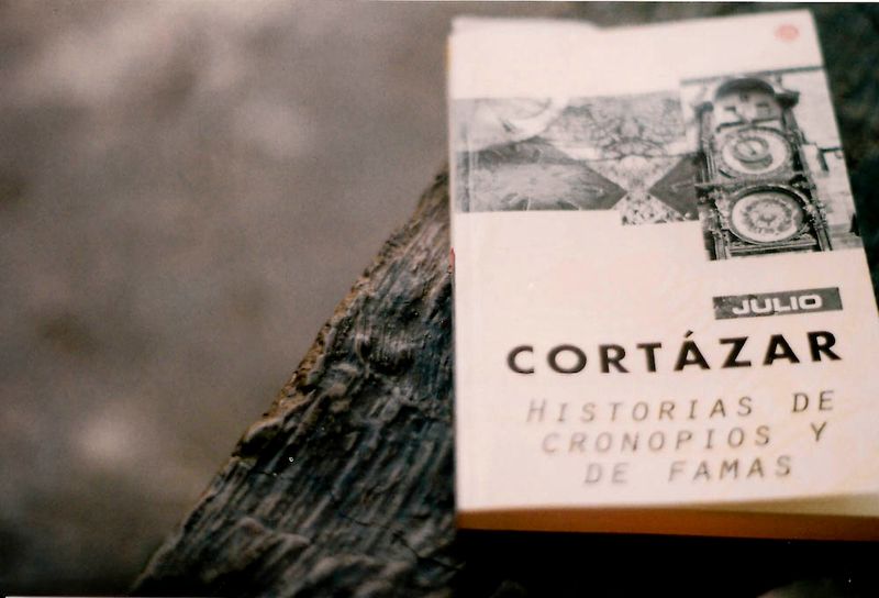 Julio Cortazar — one of Argentina’s most famous writers — © Marianna Fierro / Flickr.