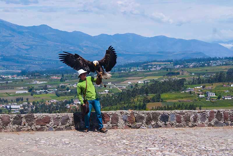 Condor park in Otavalo — © Parque Cóndor.