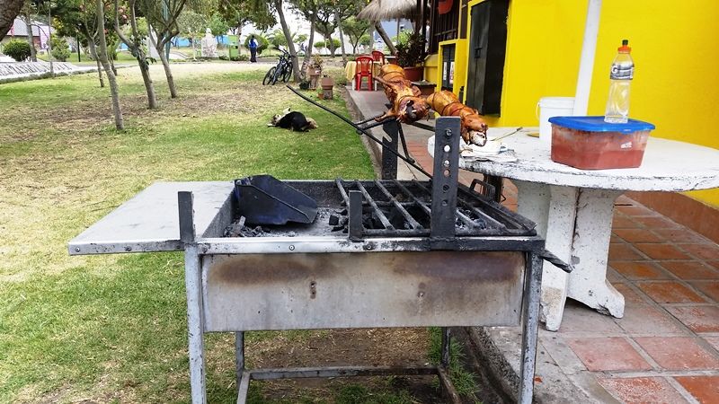 Smoked Cuy / Guinea-Pig on the Grill — © Stella Genge.