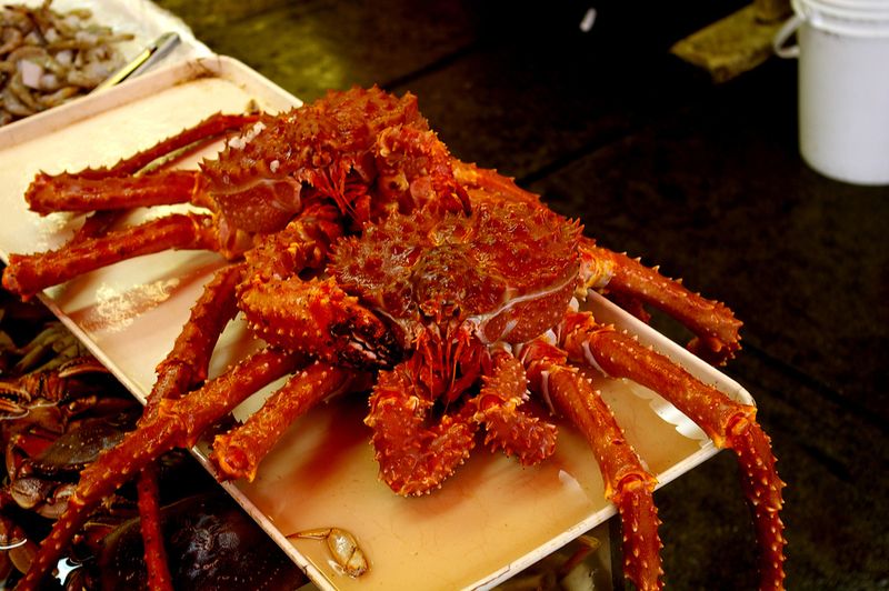 King crabs in Ushuaia — © Tim Gage / Flickr.