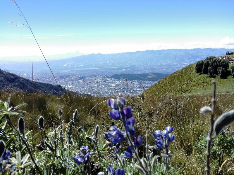 Great views on Quito’s city panorama from Pichincha mountain — © Stella Genge.