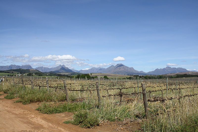 Wine region in Cape Town — © El Grincho / Pixabay.