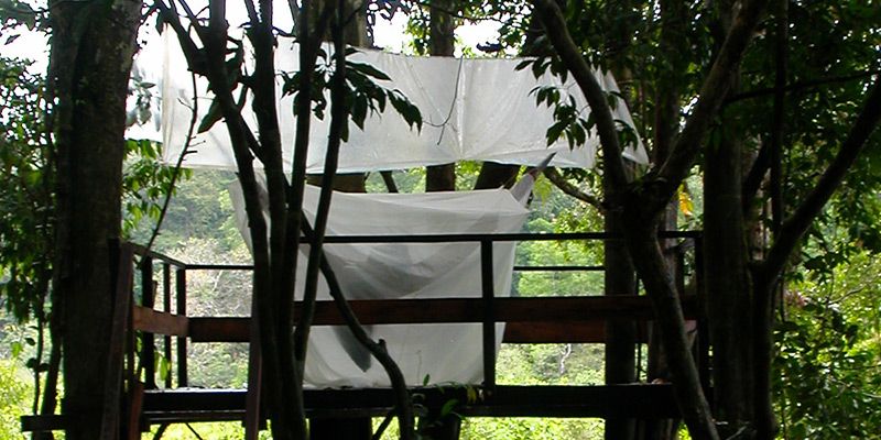 Mosquito net in the Amazon jungle — © Philip Schilling.