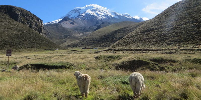 Mountains of Ecuador — © Stella Genge.