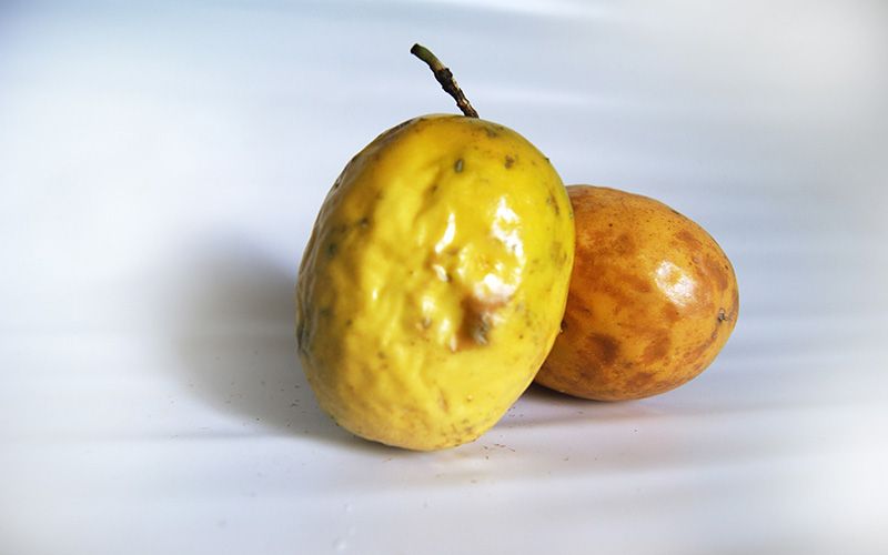 Maracuya fruits — © oiluarb_ai / Pixabay.