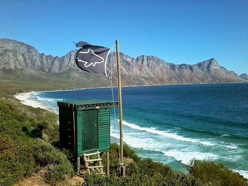 Shark sightings in Cape Town — © Dimi / Flickr.