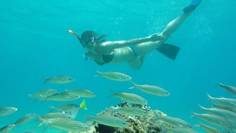 Snorkeling on the Galapagos Islands — © Instituto Superior de Español.