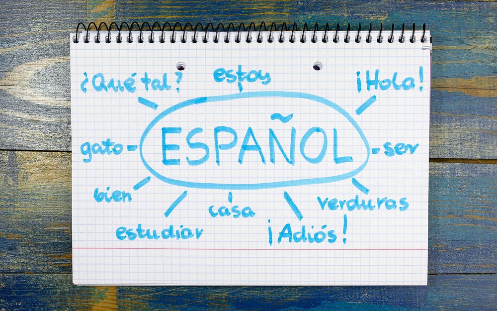Best Cafes for Studying Spanish in Madrid