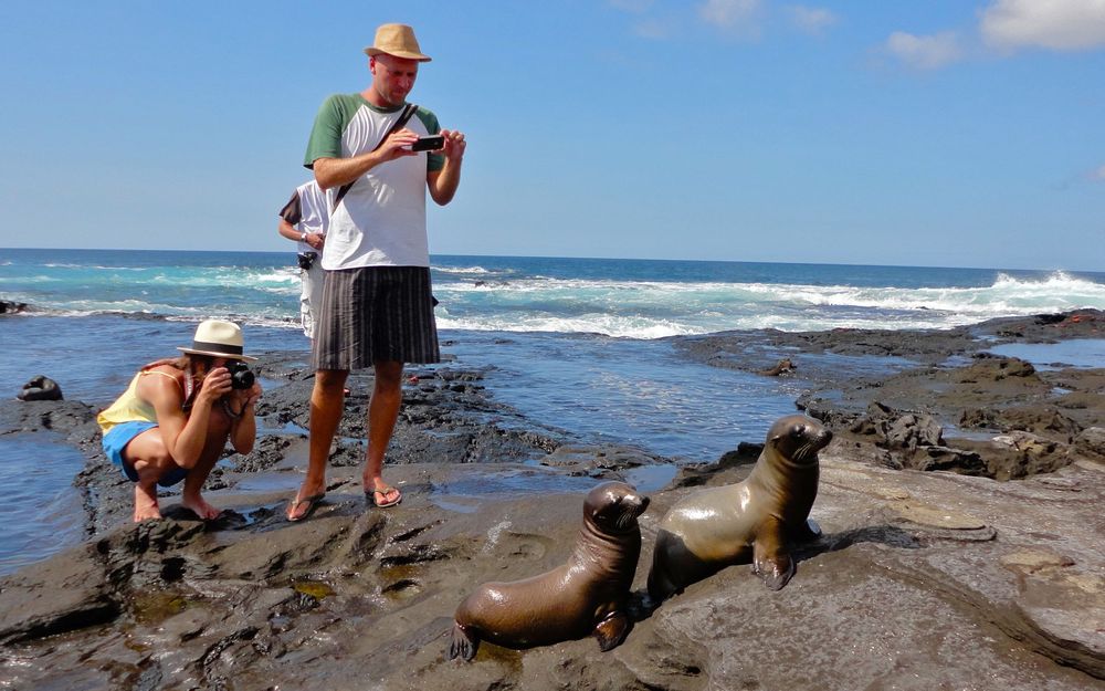 How to Be a Great Galapagos Islands Volunteer