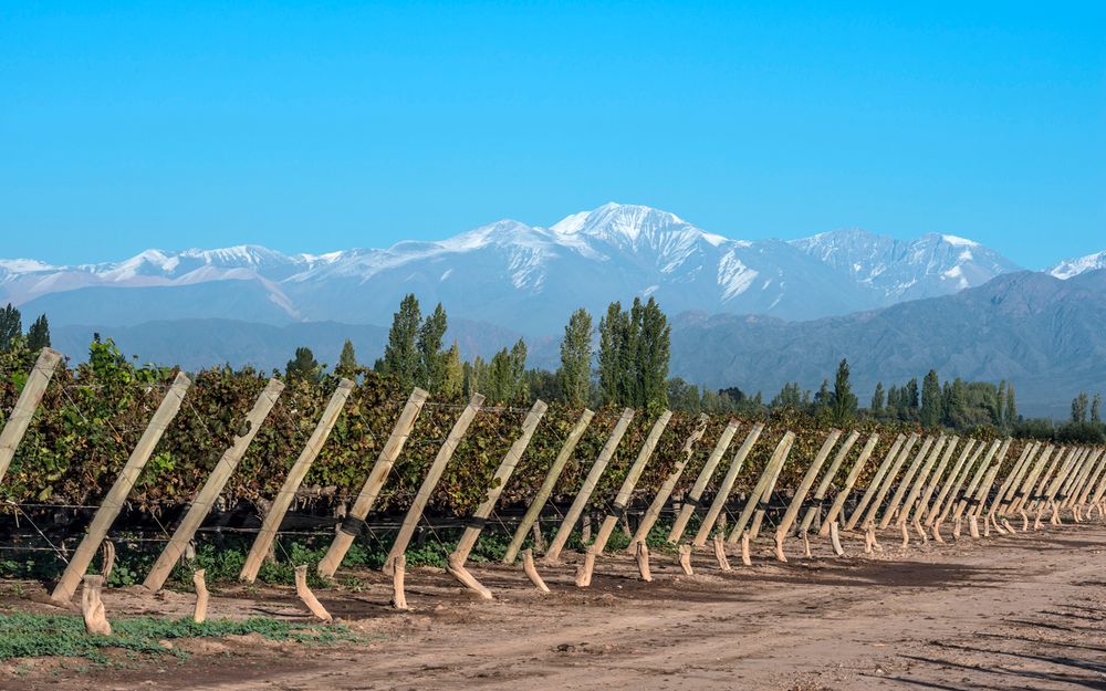 Guide to a Weekend in Mendoza