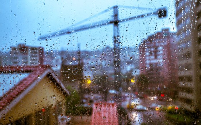 Six Ecuadorean Films to Watch on a Rainy Day